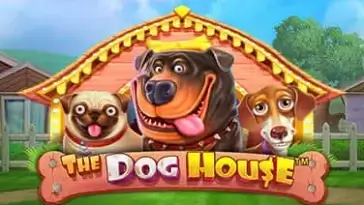 The dog house slot